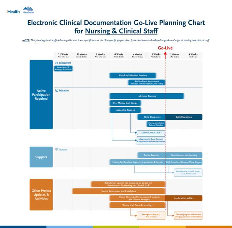 Go Live Planning Chart Nursing Clinical